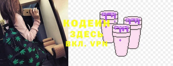 шишки Заводоуковск