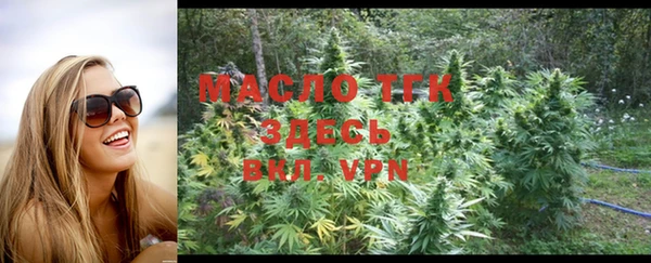 шишки Заводоуковск