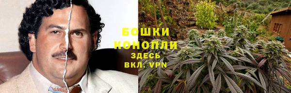 PSILOCYBIN Дмитровск